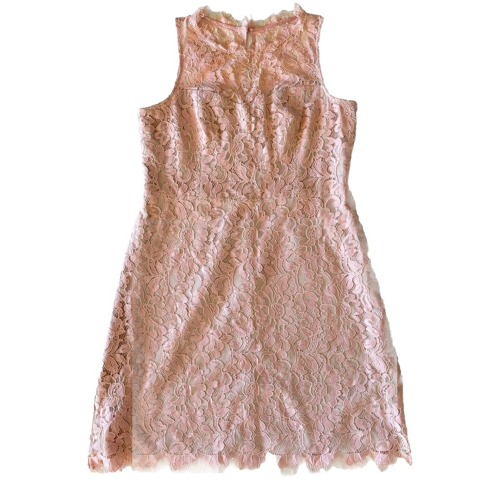 Eliza J Women Fit Flare Lace Pink 18 Sheath Lined Cocktail Wedding Career Easter